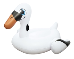 Cisne blanco grande en internet