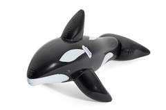 Orca en internet