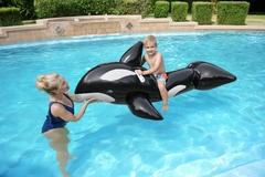 Orca
