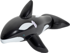 Orca - comprar online