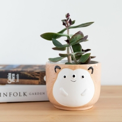 Animalito grande - comprar online