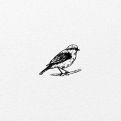 Carimbo Desenho | Pássaro - 4,5x4,5 cm