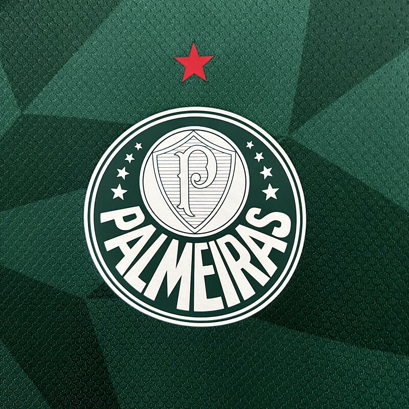 Camisa Palmeiras I 23/24 Torcedor Puma Masculina - Verde