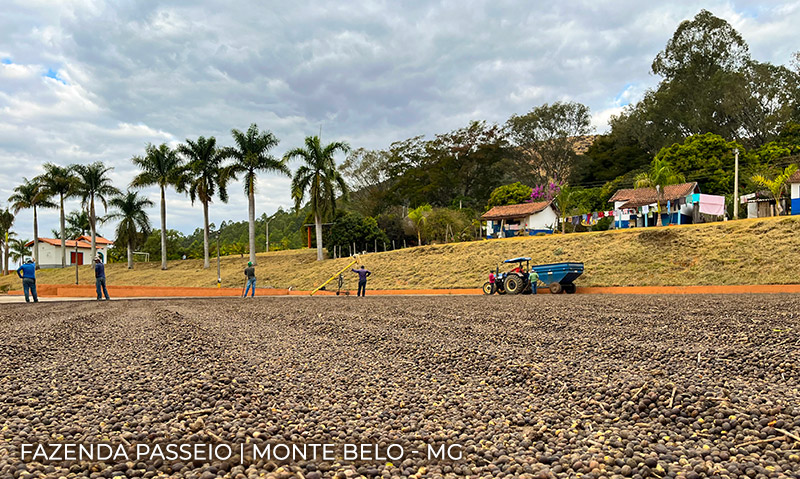 Fazenda Passeio - Sou Café