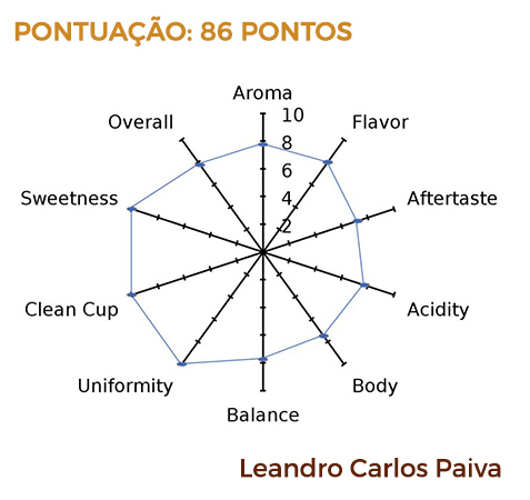 Pontuação Sou Coffee