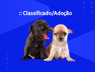categoria30.png