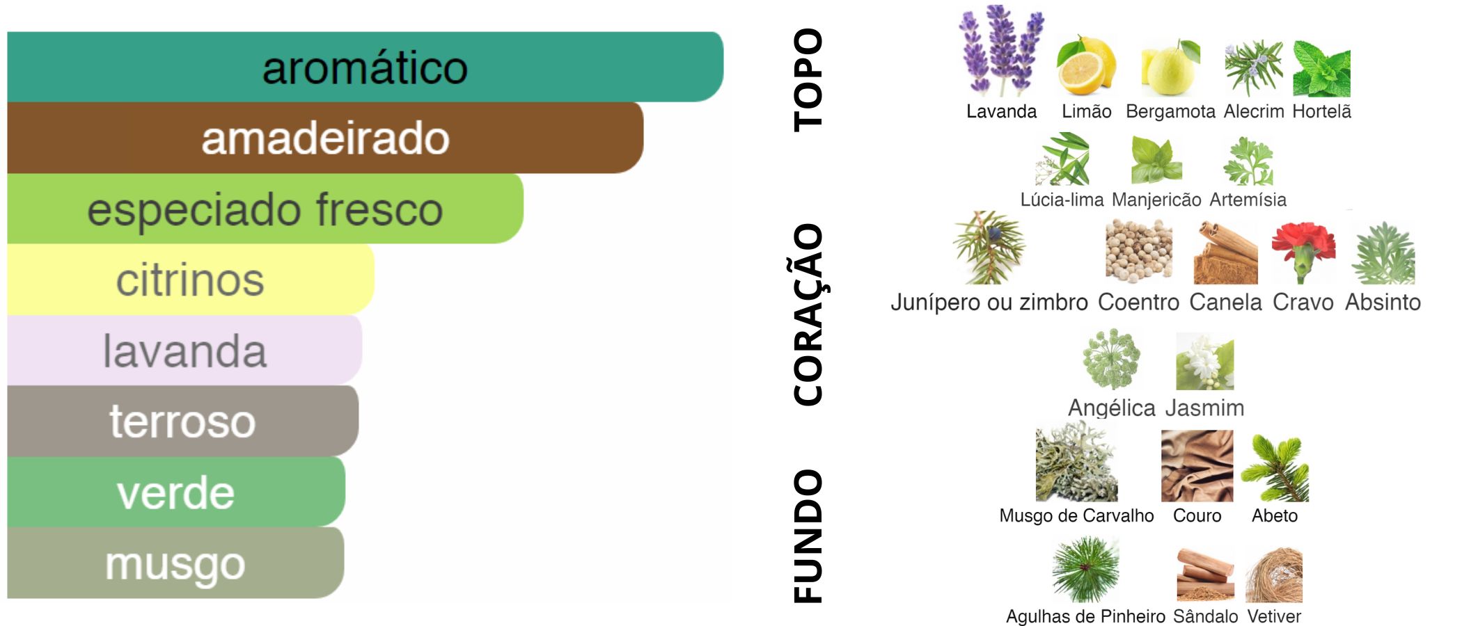 Guy Laroche Drakkar Noir Eau de Toilette Perfume Masculino