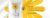 Imagem do banner rotativo Cafeeira Garibaldi