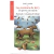 Aventuras de Jerrry / un perro con suerte / Libro Biblioteca escolar
