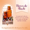 Flores de Bach