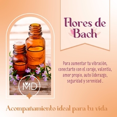 Flores de Bach