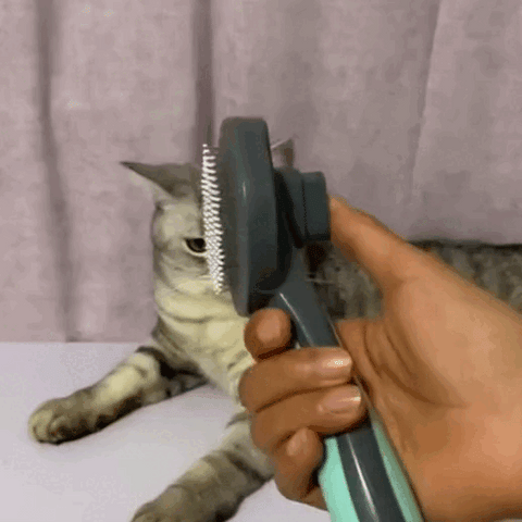 Escova Removedora de Pelos de Gatos - Morgatto
