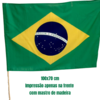 BANDEIRA DO BRASIL