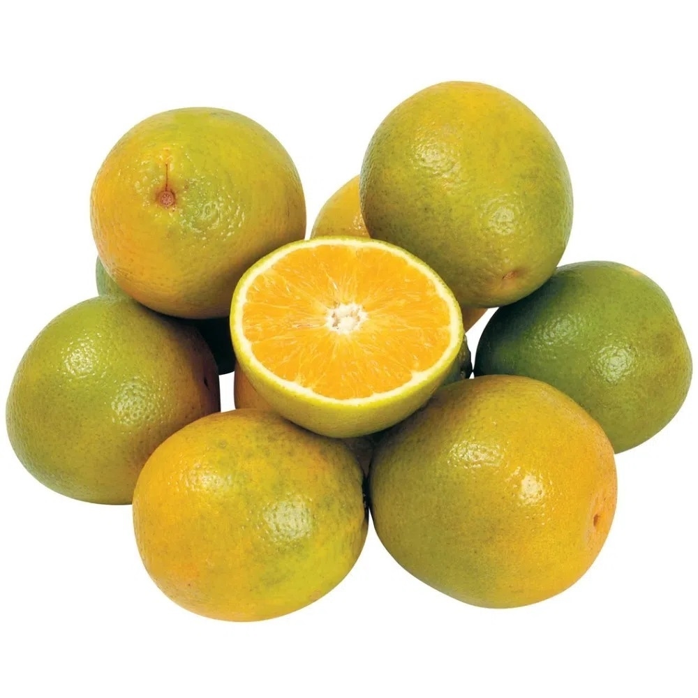 laranja-kg-comprar-em-frutos-do-bem