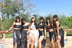 Top Cropped + Hot Pants na internet