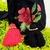 Bolso / mochila negro rosa roja deluxe en internet
