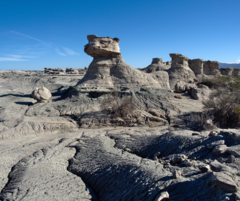 ISCHIGUALASTO (VALLE DE LA LUNA)