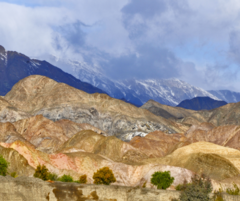 ALTA MONTAÑA – BARREAL / CALINGASTA