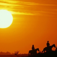 CABALGATAS ATARDECER