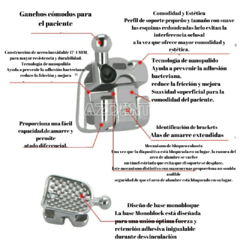 Autoligantes Azdent con puerta - GlobalBrackets