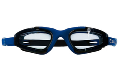 Imagen de Goggles Raptor