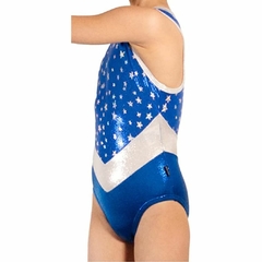 Leotardo Gimnasia niña Modelo 17240-9 - Rey con Estrellas con cortes en pico y cuello en plata - online store