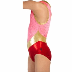 Leotardo Gimnasia niña, Modelo 17240-45 - Leotardo Holograma y Glitter con corte en Pico y cuello glitter oro - comprar en línea