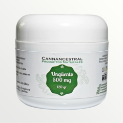 UNGÜENTO 500 MG 120 GR