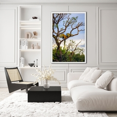 Quadro de Arara no cerrado, Alto Paraíso - comprar online