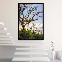 Quadro de Arara no cerrado, Alto Paraíso na internet