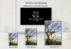 Imagem do Quadro de Arara no cerrado, Alto Paraíso