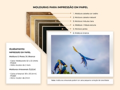 Araras canindé em bando, Alto Paraíso - Quadros Exclusivos - Decoração Fine Art para seu ambiente | Planeta em Fotos