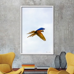 Quadro de Arara voando, Alto Paraíso - comprar online