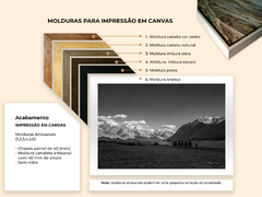 Deserto no topo do Himalaia, Ladakh Índia - Quadros Exclusivos - Decoração Fine Art para seu ambiente | Planeta em Fotos