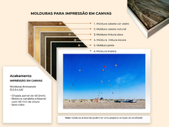 Festival de balões e pipas, Dinamarca - loja online