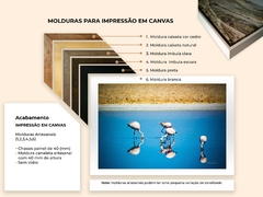Imagem do Flamingos Rosas, Deserto do Atacama