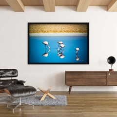 Flamingos Rosas, Deserto do Atacama - Quadros Exclusivos - Decoração Fine Art para seu ambiente | Planeta em Fotos
