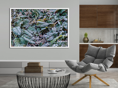 Folhas no inverno, Nepal - comprar online