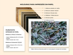 Folhas no inverno, Nepal - Quadros Exclusivos - Decoração Fine Art para seu ambiente | Planeta em Fotos