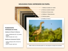 Seriema e borboletas, Cerrado Goiano - Quadros Exclusivos - Decoração Fine Art para seu ambiente | Planeta em Fotos