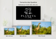 Imagem do Seriema e borboletas, Cerrado Goiano