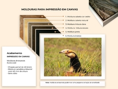 Quadro do Tamanduá mirim, Goiás - loja online