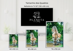 Imagem do Tigre de Bengala, Dinamarca