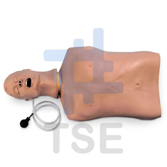 torso para rcp