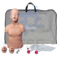 torso rcp adulto