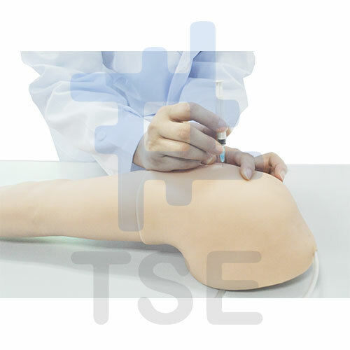 Brazo De Inyección Intravenosa Tse 3946