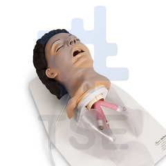 maniquí de entrenamiento vías respiratorias