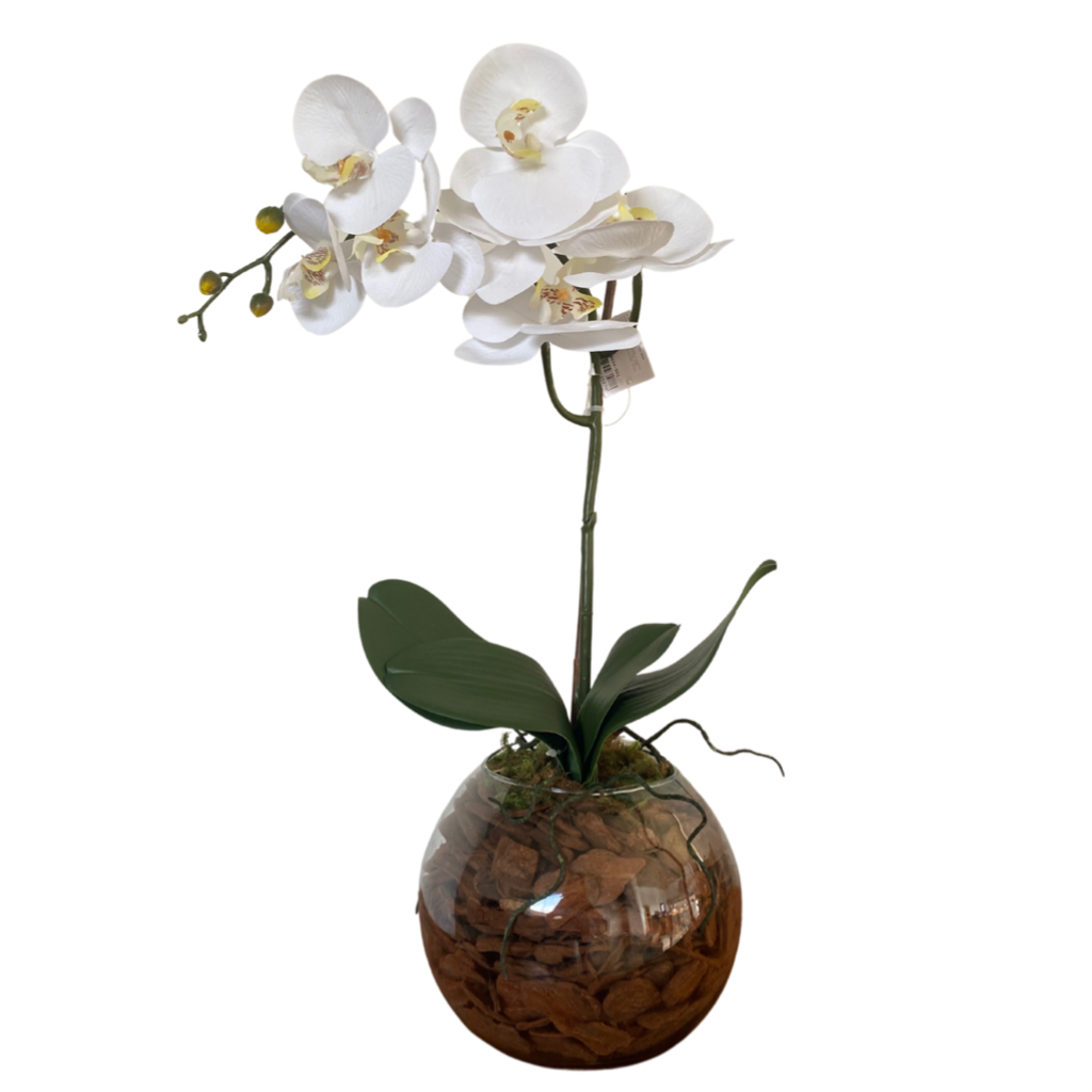 Arranjo de orquídea branca