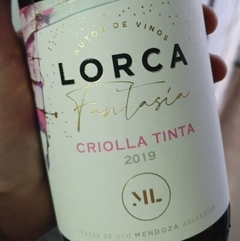 Fantasía Criolla Tinta Mauricio Lorca - comprar online