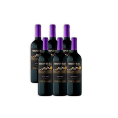 Frontera Malbec / Concha y Toro / caja por 6 botellas